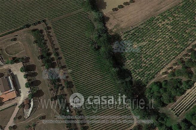 Terreno agricolo in commerciale in Via Paduni 36