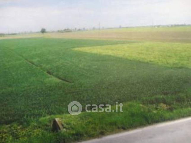 Terreno edificabile in residenziale in Strada Provinciale 12