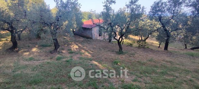 Terreno agricolo in commerciale in Località Palomba