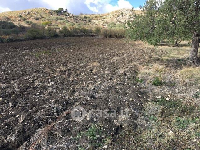 Terreno agricolo in commerciale in 