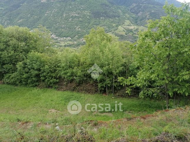 Terreno agricolo in commerciale in 