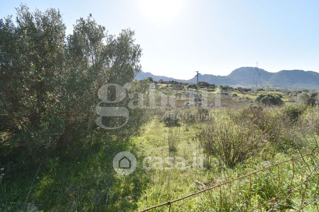 Terreno agricolo in commerciale in Via Donnigheddu