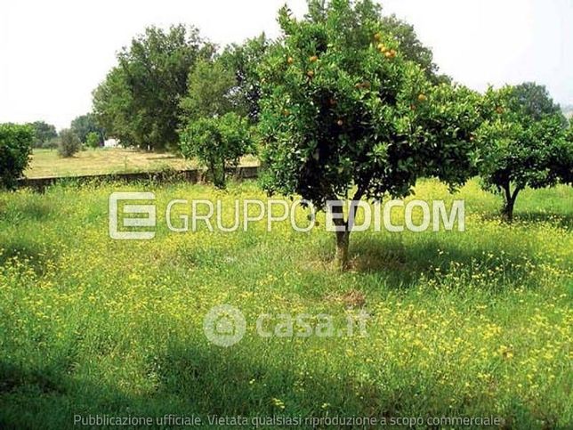 Terreno edificabile in residenziale in Strada Provinciale 234