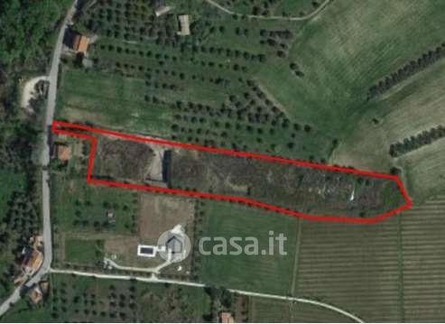 Terreno agricolo in commerciale in Via Torre Menè