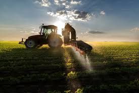 Terreno agricolo in commerciale in Via Pascoli