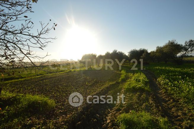 Terreno agricolo in commerciale in Strada del Querciolo 125