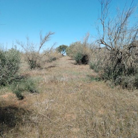 Terreno agricolo in commerciale in Contrada Pistone