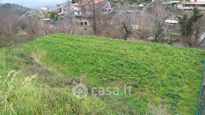 Terreno agricolo in commerciale in 