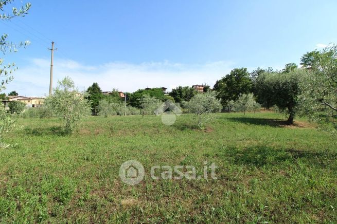 Terreno agricolo in commerciale in Vicolo delle Fontane