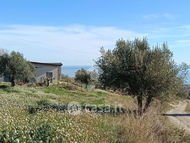 Terreno agricolo in commerciale in Contrada Foggetta