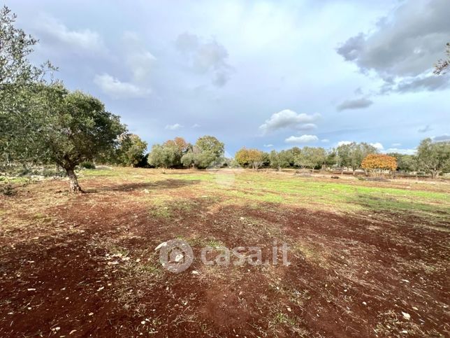 Terreno agricolo in commerciale in 