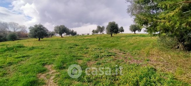 Terreno agricolo in commerciale in Contrada Schito