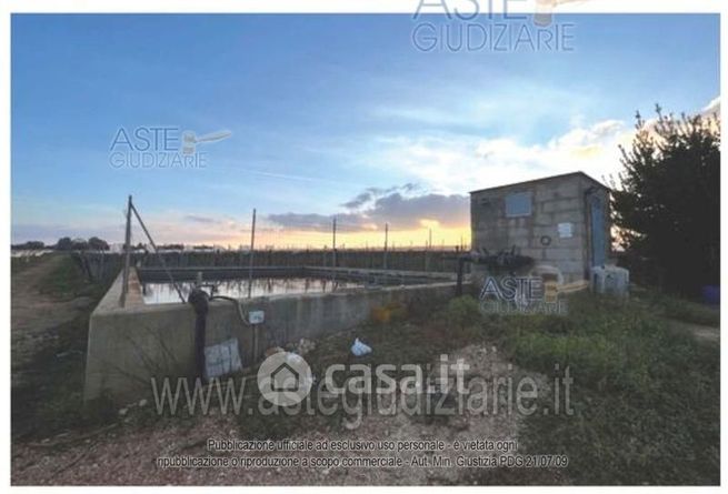 Terreno agricolo in commerciale in 