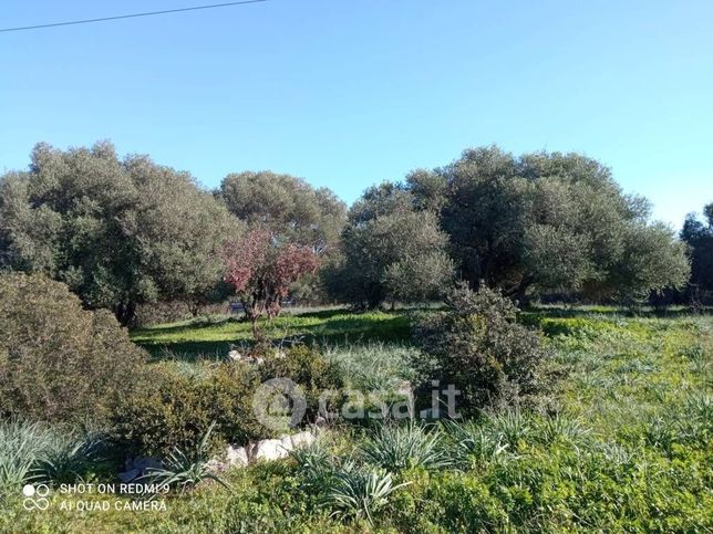 Terreno agricolo in commerciale in sa istrana