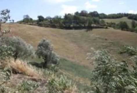 Terreno agricolo in commerciale in Via CÃ  Biagio