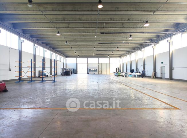 Capannone in commerciale in carraia