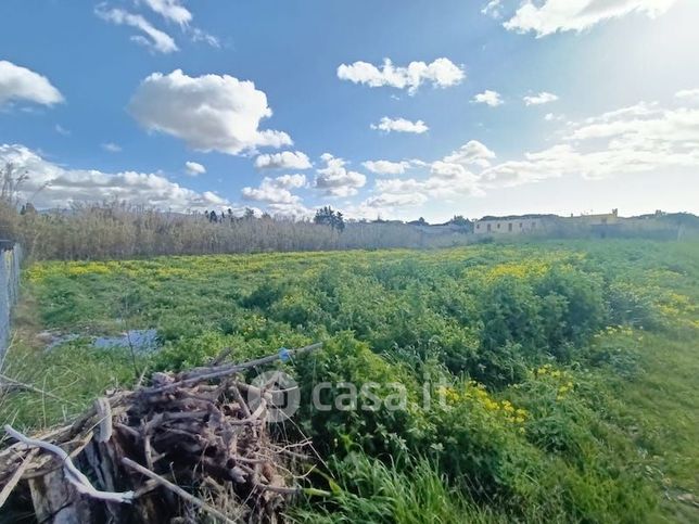 Terreno agricolo in commerciale in Via Mar Adriatico