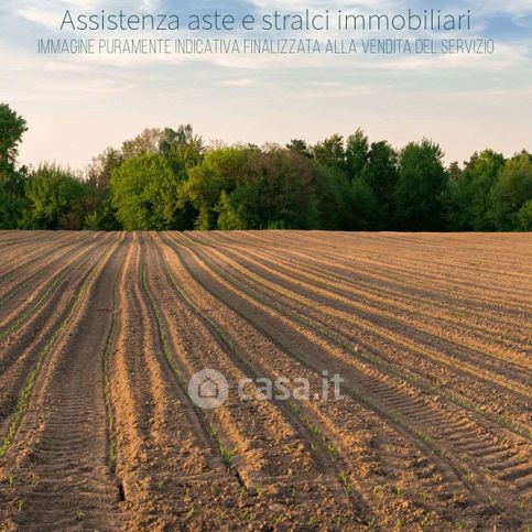 Terreno agricolo in commerciale in Località Rona Fornace