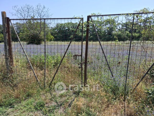 Terreno agricolo in commerciale in Via Masseria Facile