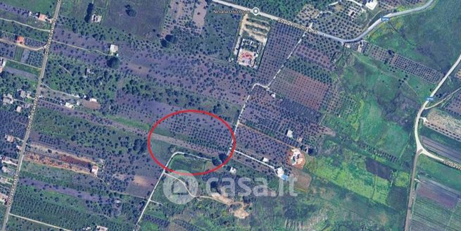 Terreno agricolo in commerciale in Strada Provinciale 56