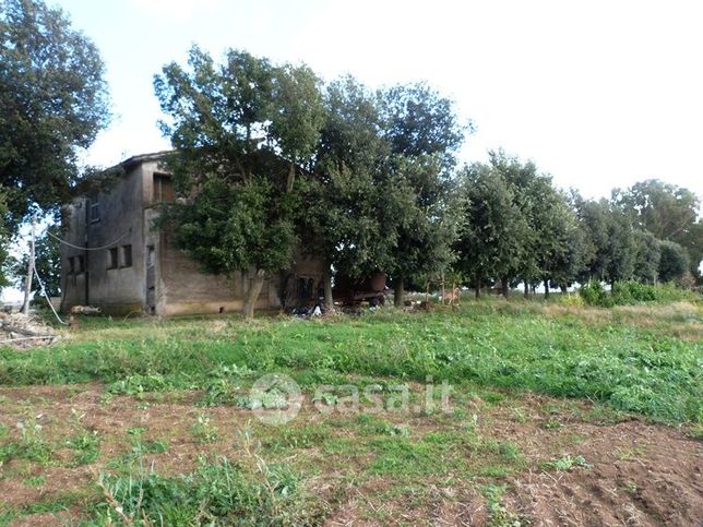 Terreno agricolo in commerciale in Via Casale di Spanora