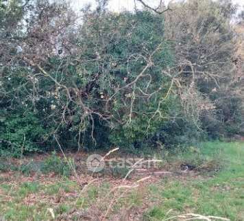 Terreno agricolo in commerciale in Largo dell'Olgiata