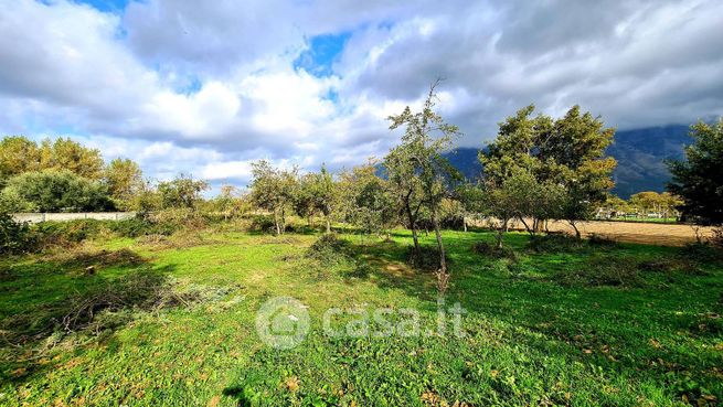 Terreno edificabile in residenziale in Strada Comunale Separone