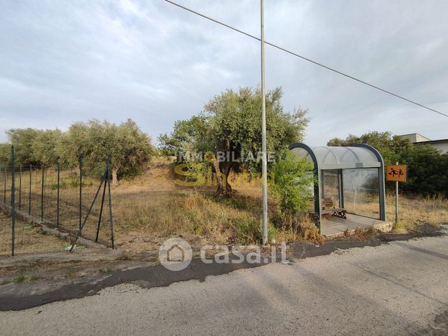 Terreno agricolo in commerciale in Contrada Piano Viti 2