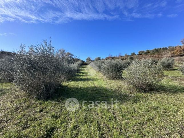 Terreno agricolo in commerciale in Via Santa Lucia