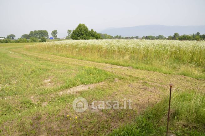 Terreno agricolo in commerciale in 