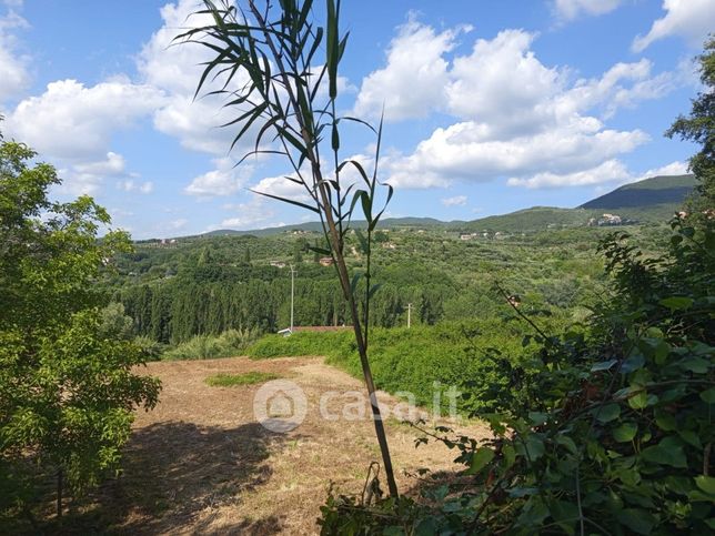 Terreno agricolo in commerciale in Strada di Santa Chiara