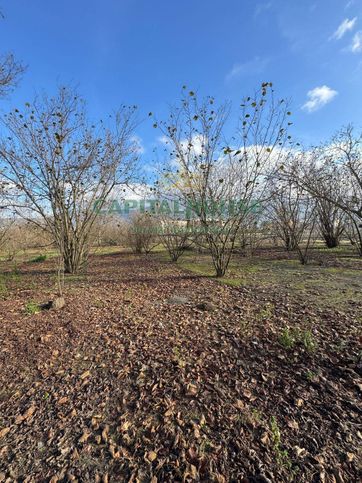 Terreno agricolo in commerciale in Via Piano