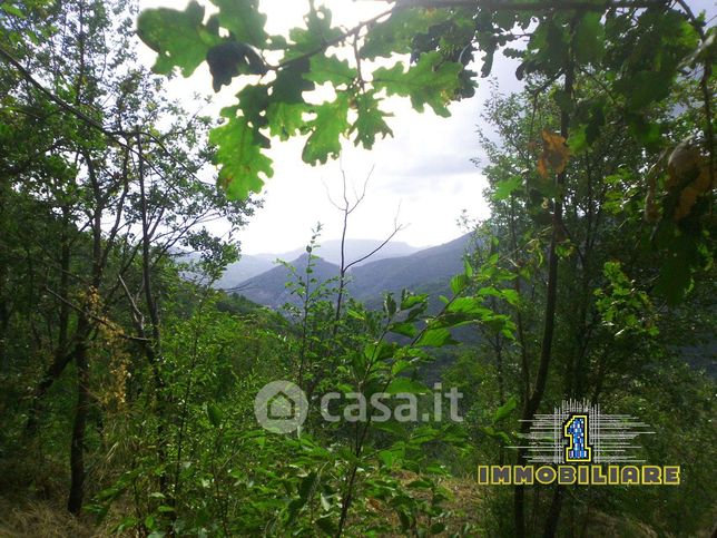 Terreno agricolo in commerciale in vassi