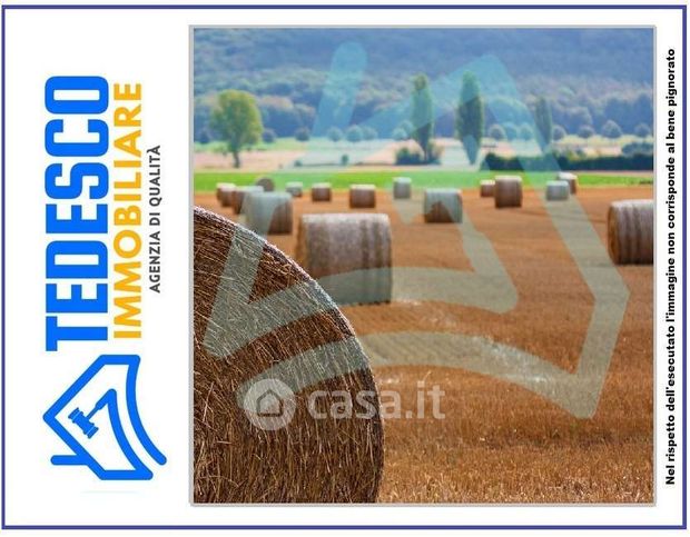 Terreno agricolo in commerciale in Via dei Pisani