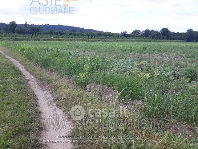 Terreno agricolo in commerciale in 