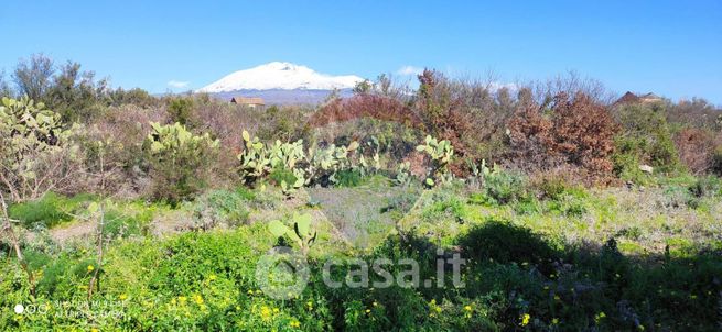 Terreno agricolo in commerciale in Contrada Scalilli