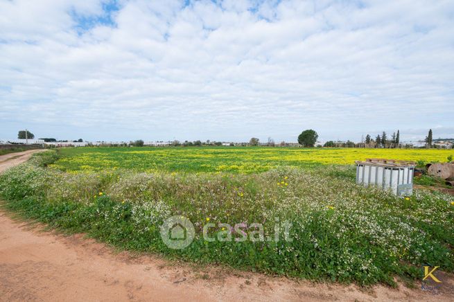 Terreno agricolo in commerciale in Strada Comunale 30