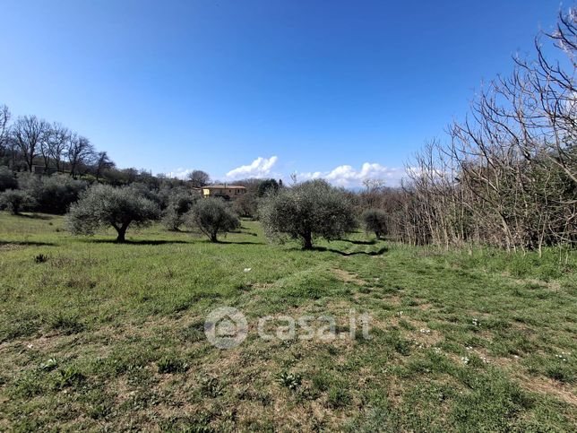 Terreno agricolo in commerciale in Via Colle dell'Oro