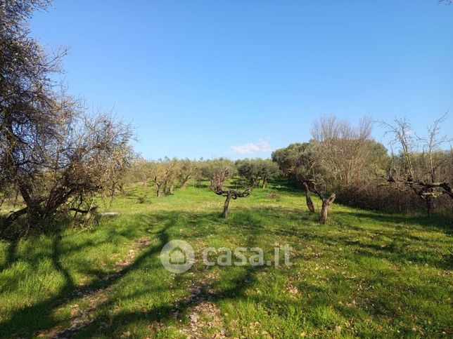 Terreno agricolo in commerciale in Strada di Fonte Zeppo