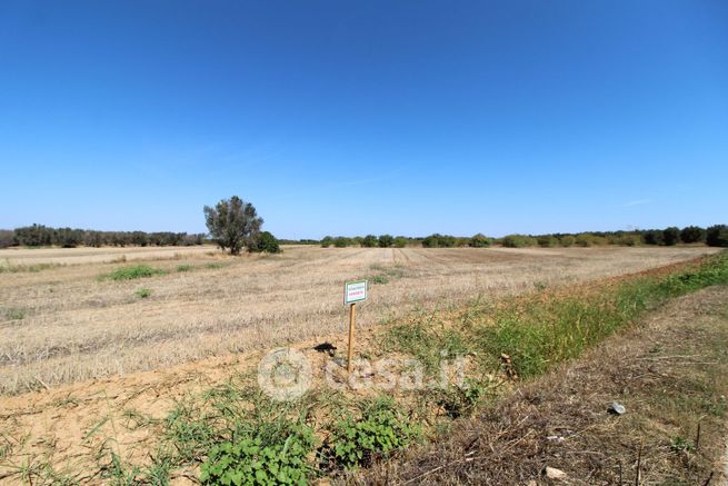 Terreno agricolo in commerciale in Contrada Mucchio