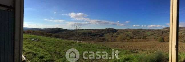 Terreno agricolo in commerciale in Strada Provinciale Poggio Murella 28