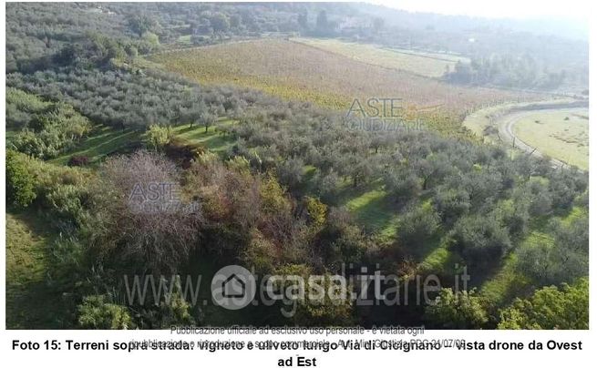 Terreno agricolo in commerciale in Via Cicignano