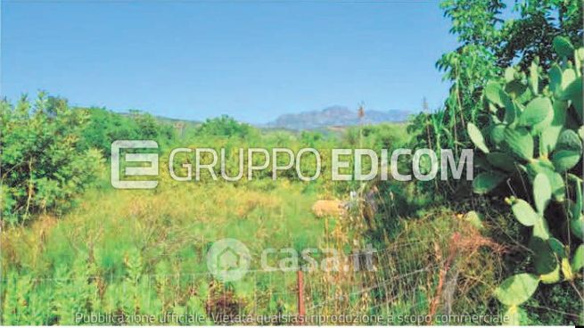 Terreno agricolo in commerciale in Via Alessandro Paternostro