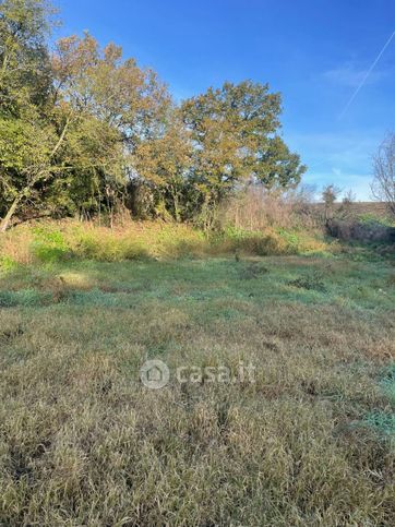 Terreno agricolo in commerciale in Via Doganale