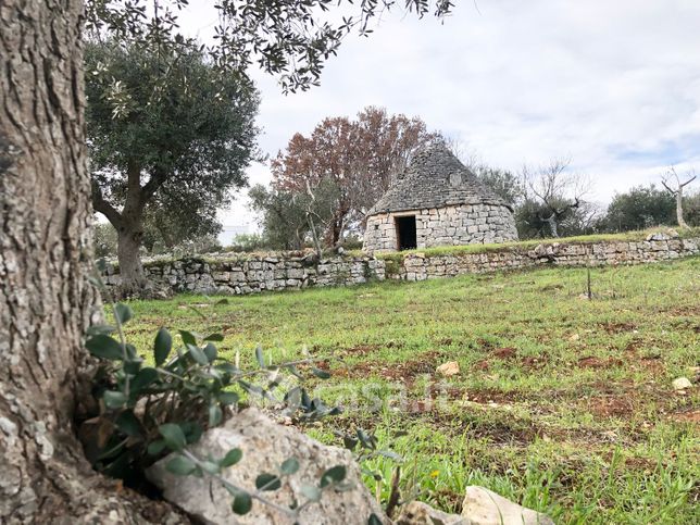 Terreno agricolo in commerciale in Contrada Pagliericci