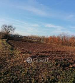 Terreno agricolo in commerciale in Via Latisana