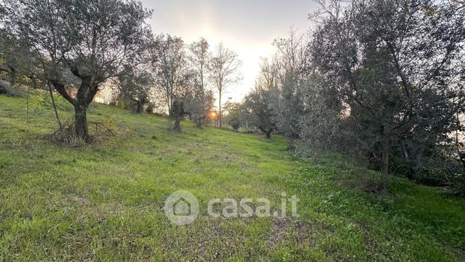 Terreno edificabile in residenziale in Contrada Collevento Alta 51