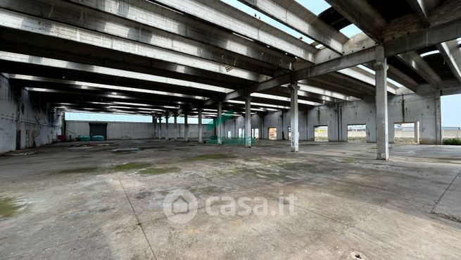 Capannone in commerciale in Viale Francesco de Blasio 30