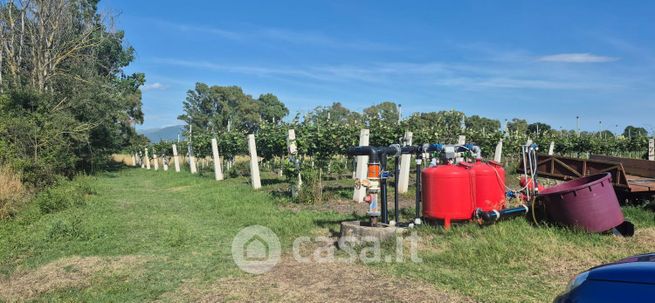 Terreno agricolo in commerciale in Borgo carso
