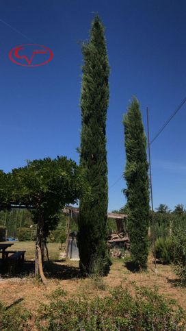 Villa in residenziale in Via XXV Aprile